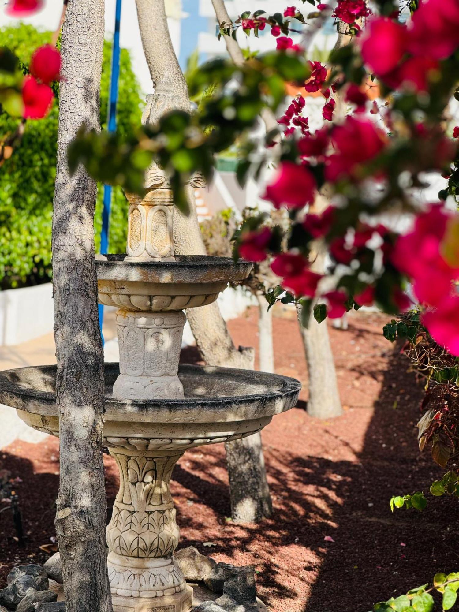 Garden City Private Apartment Costa Adeje Playa Feñabe Exteriör bild